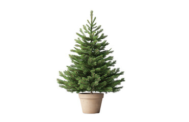 Artificial Christmas Tree in Pot with Transparent Background