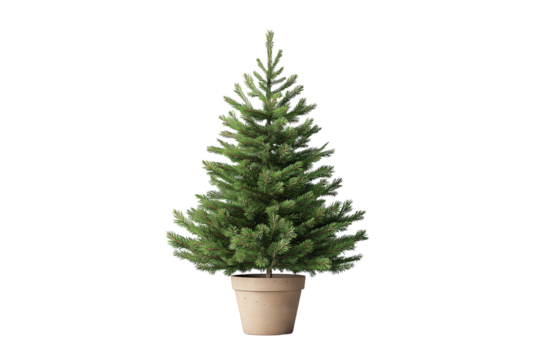 Artificial Christmas Tree in Pot with Transparent Background
