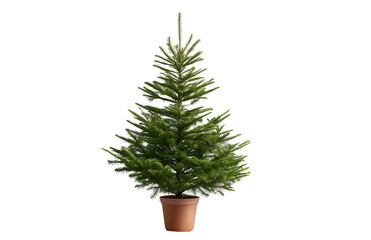 Fototapeta premium Artificial Christmas Tree in Pot with Transparent Background