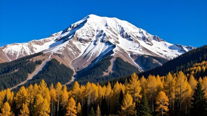 Magnificent snowy mountains under the golden autumn forest