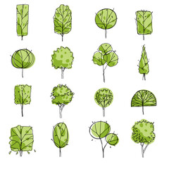 Side front view, set of hand drawn graphic trees elements outline symbol for green architecture and landscape design drawing. Trees icon. Vector illustration