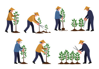 Farmers planting trees