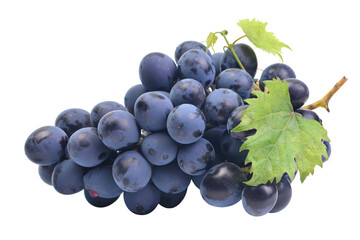 Grapes isolated on white background