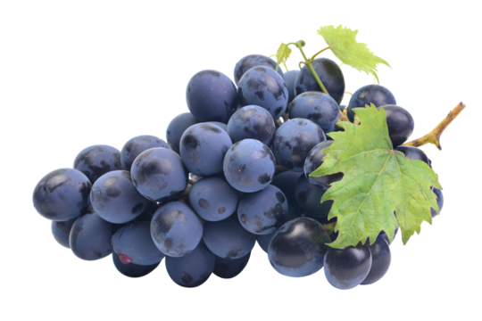 Grapes isolated on white background