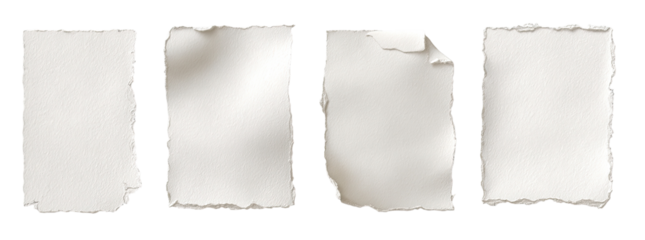 Four torn pieces of white paper
