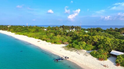 tropical beach with palm trees