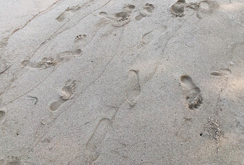 footprints on the beach