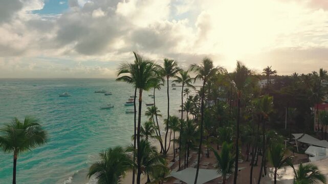 A view through tall palm trees at the beach of a beautiful Caribbean resort