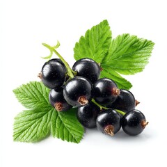 Fresh Blackcurrants with Green Leaves Isolated on White Background Perfect for Food and Drink Packaging Design