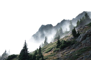 Misty mountain slope with evergreen trees