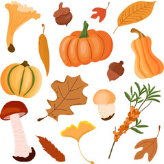 Hand drawn vector autumn set. Leaves, mushrooms, berries, nuts, pumpkin. Colourful illustration. Hello autumn. Autumn stickers, card. Flat design.