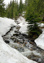 Fototapeta premium Mountain Stream in Spring, Carpathians