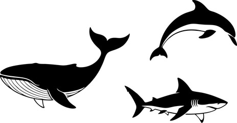 silhouette of a shark
