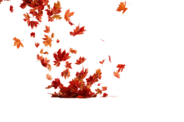 Falling autumn leaves against a black background (1)