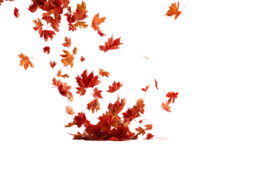 Falling autumn leaves against a black background (1) - Powered by Adobe