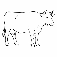 Fototapeta premium Dairy Cow vector