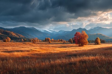 A vast autumn meadow with golden grass scattered across the field, with a majestic mountain range in the background.