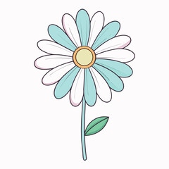 daisy flower vector illustration