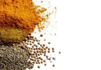 Spices in various colors and textures.  Layers of turmeric, curry, and cumin. Coriander seeds scattered