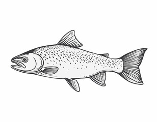 Trout fish in hand drawn strokes.Vector illustration.