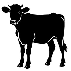 cow on a white background