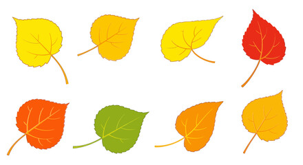 Obraz premium Vibrant autumn leaves in a spectrum of warm colors, perfect for seasonal designs and nature themes.