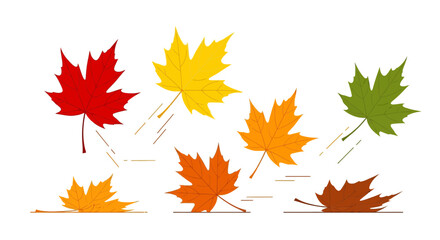 Vibrant autumn leaves in various colors falling, perfect for seasonal design and fall themes