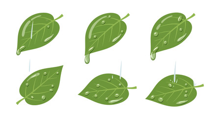 Fresh green leaves with water droplets, perfect for nature, health, and wellness concepts