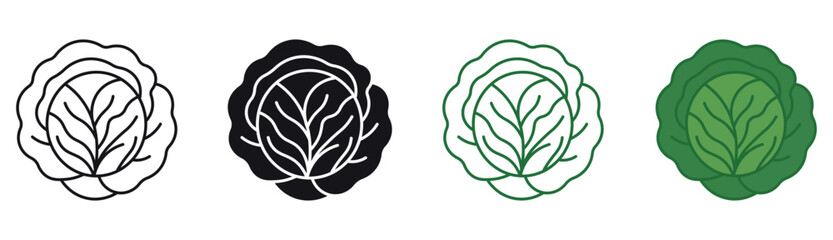 Cabbage icon set. Green organic vegetable and food logo. vegetarian salad recipe. Fresh leaves lettuce. Vector illustration .