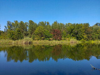 Obraz premium The clear surface of the lake reflects the vibrant colors of the autumn trees, creating a symmetrical and tranquil view. The air is filled with a sense of silence and serenity, inviting you to escape 