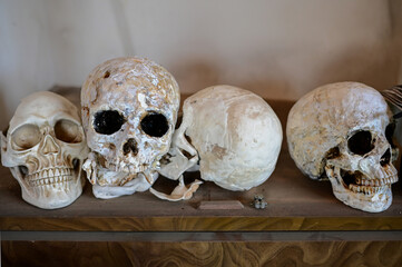 ドクロのインテリア