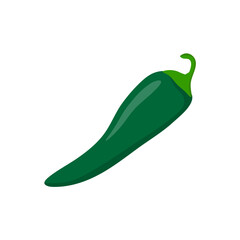 Green Chili Pepper on White Background. Vector Illustration