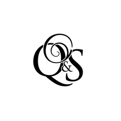 QS Letter Logo Design