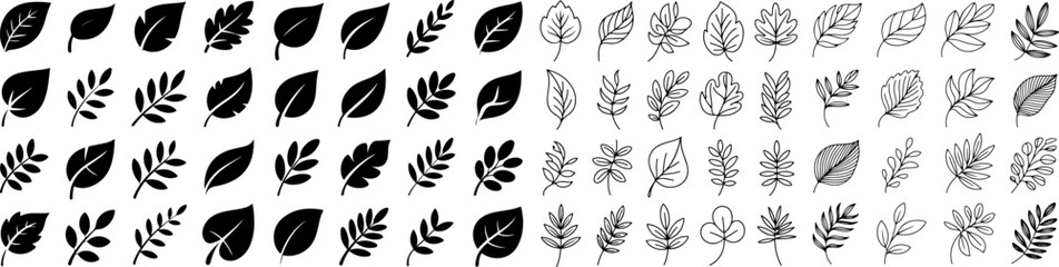 Black and white leaf vector set, collection of elegant line art foliage elements, design elements