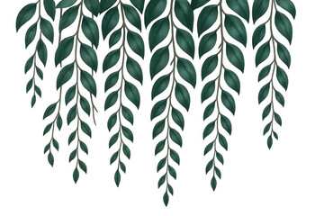 Verdant vines draping softly, creating botanical curtain with delicate green tendrils against pristine transparent backdrop