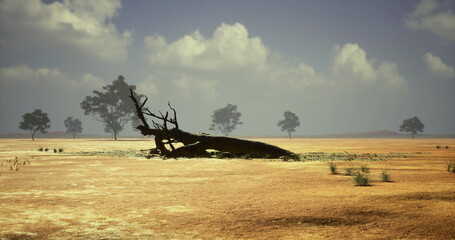 Fototapeta premium A barren landscape features a fallen tree lying on cracked earth, surrounded by sparse vegetation under a vast sky filled with soft clouds. The atmosphere reflects arid conditions.