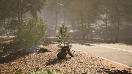 A bear cub sits quietly by the side of a forest road, surrounded by greenery and dappled sunlight filtering through the trees, embodying a peaceful moment in nature. © icetray
