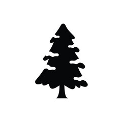 Evergreen tree with snow pine