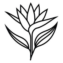 bird of paradise flower outline icon