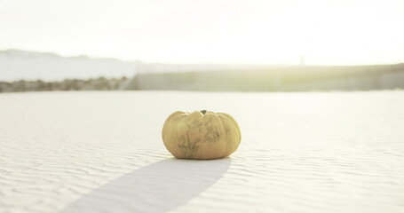 A solitary pumpkin sits on a vast expanse of fine sand, bathed in the warm glow of the evening sun. Shadows stretch across the ground as twilight approaches, creating a serene atmosphere.