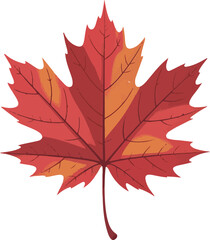 Maple leaf logo template vector icon illustration, Maple leaf vector illustration, Canadian vector symbol, Red maple leaf, Canada symbol, Red Canadian Maple Leaf