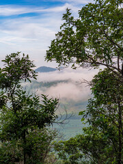 The stunning view from a tourist's standpoint as they go down a hill on a foggy trail with a hill and a background of a golden sky in Forest Park, Thailand. Rainforest. Bird's eye view. Aerial view.