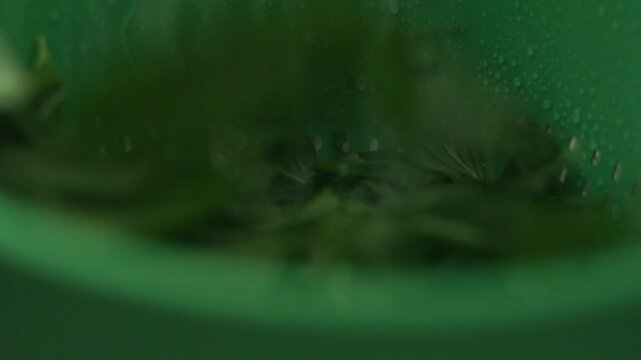 Close-up of fresh green herbs inside a green kitchen strainer with running water. Herbal preparation and organic food cooking process.