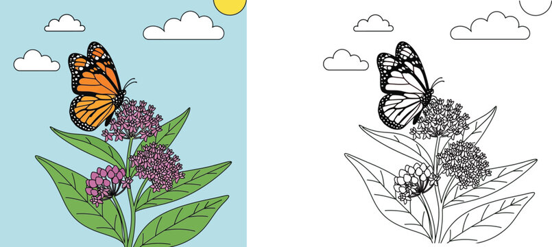 Monarch Butterfly on Milkweed Coloring Page: Detailed Nature Illustration for Kids & Adults, Pollinator Garden Outline Drawing with Flowers, Sun, and Clouds, Vector Artwork