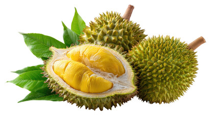 Obraz premium Durian Delights: A captivating, mouthwatering display of fresh durian fruit, showcasing its unique, thorny exterior and creamy, golden interior.