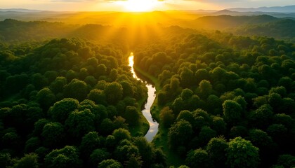 The stunning green Amazon forest is bathed in a warm golden light as the sun rises, casting a magical glow over the lush canopy and reflecting off the meandering rivers below