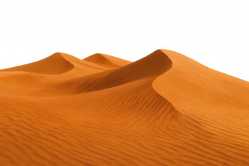 Sandy terrain undulating, forming mesmerizing desert contours with transparent background cutout