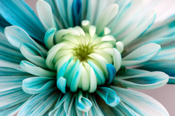 Close up of a blue and white flower made with coloring