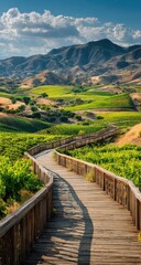 Wooden walkway through vineyard hills.  Sunlit path meanders through rows of vibrant green grapevines, leading to a backdrop of rolling hills and mountains.  