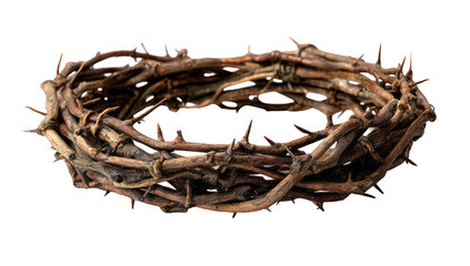 Fototapeta premium A crown of thorns, intricately woven